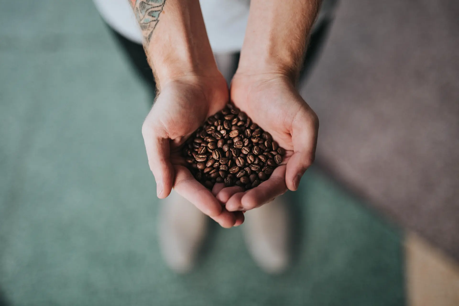 Les mains de Lucie, pleines de grains torréfiés