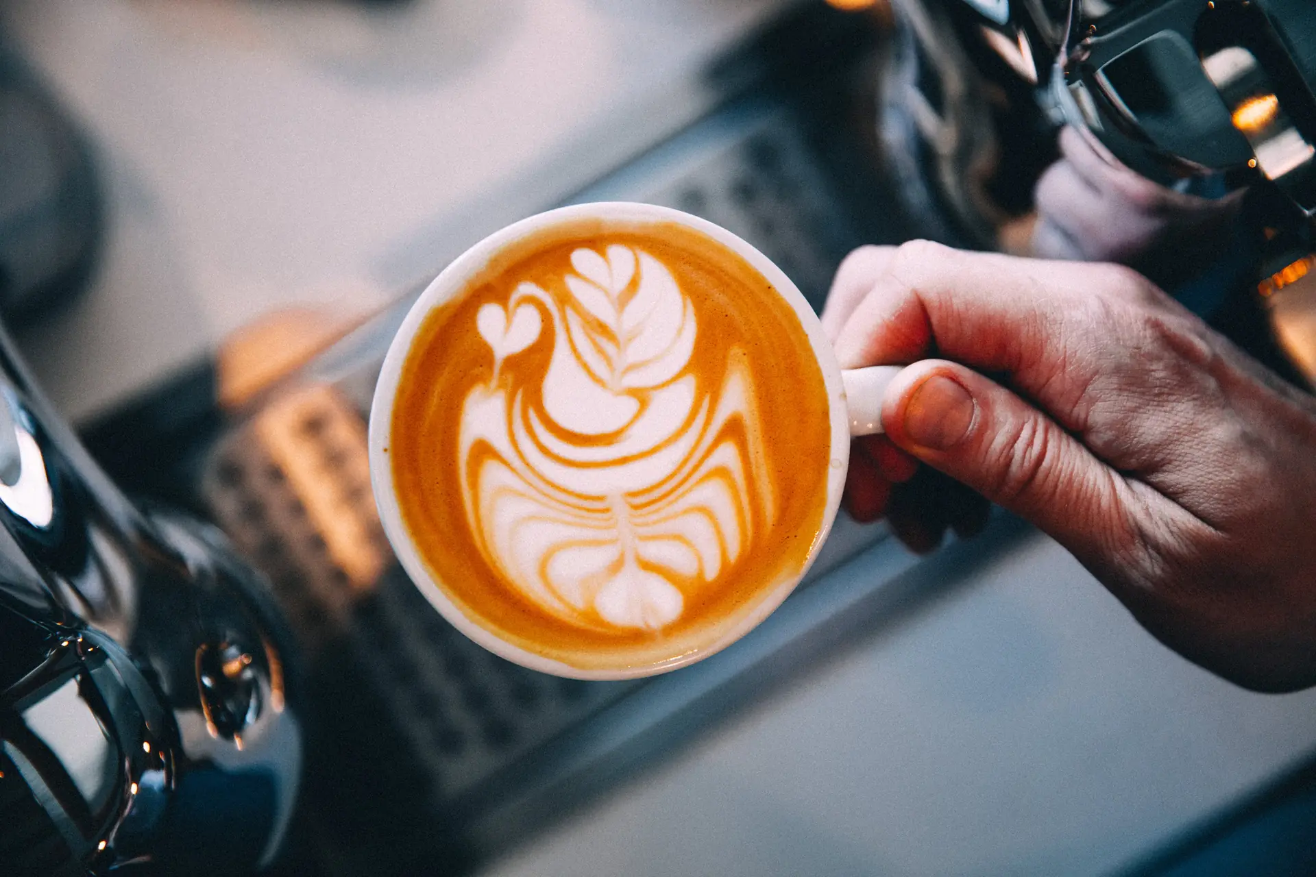Un cappuccino au cygne de lait, tenu au-dessus de la machine