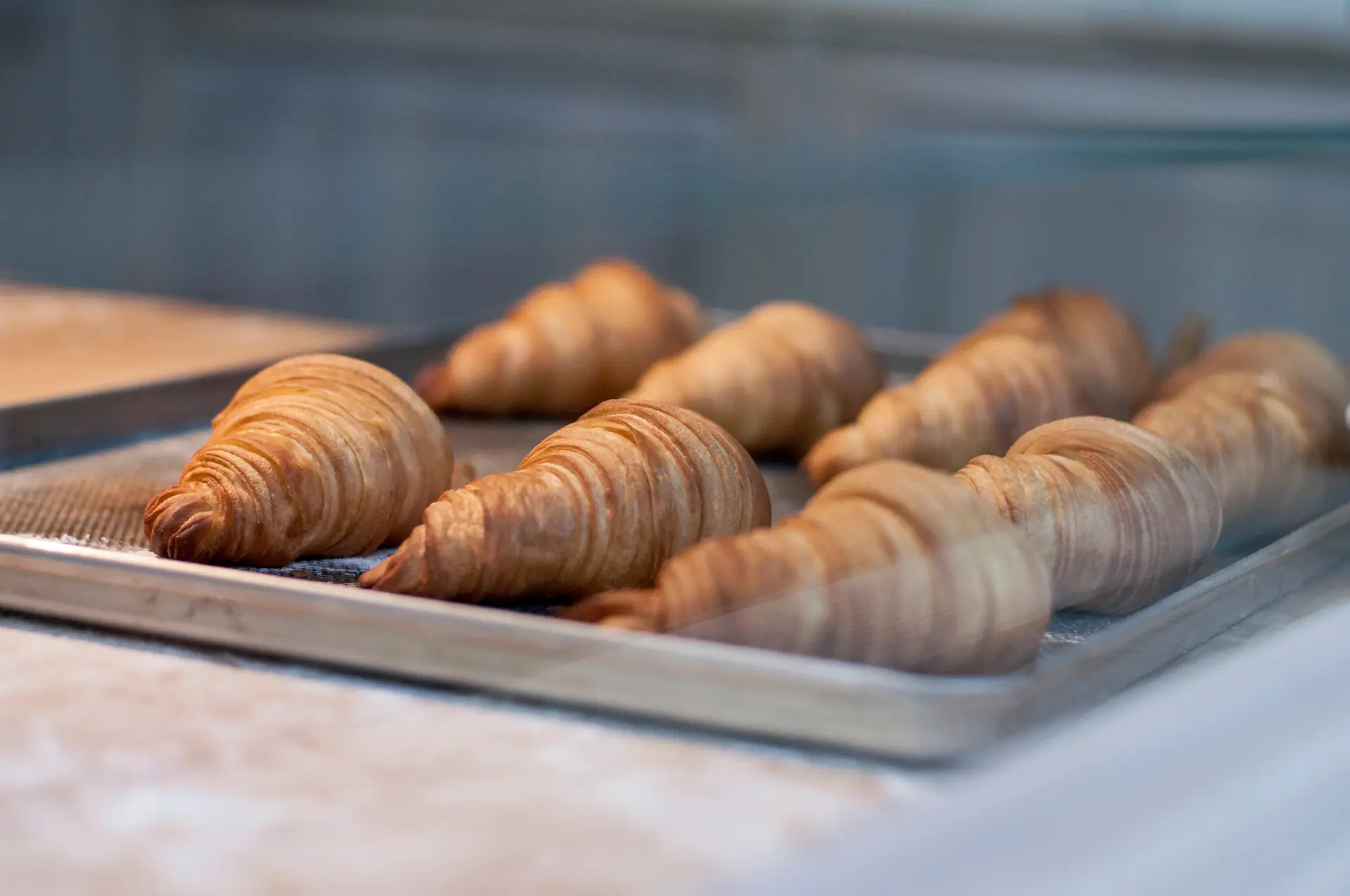 Une plaque de croissants dorés, sortis du four
