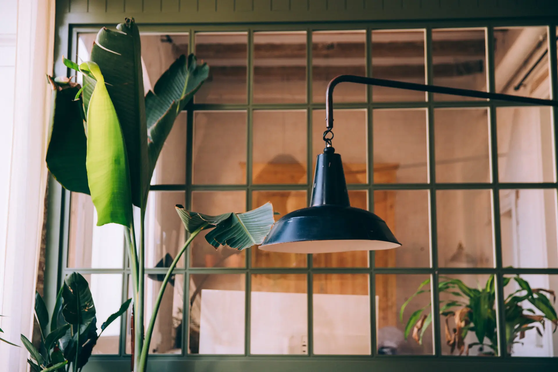Le salon : la verrière et sa lampe, une tasse sur la tablette, une petite table sous l’ampoule, le sucre roux sur la table de bois, la salle le matin